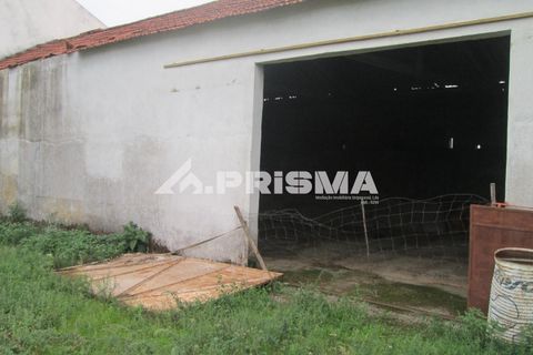 Byhus i Idanha-a-Nova, Castelo Branco, Idanha-a-Nova - € 300.000 | Ref: PP4470 - foto 42