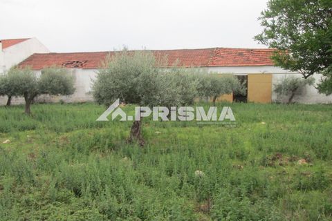Byhus i Idanha-a-Nova, Castelo Branco, Idanha-a-Nova - € 300.000 | Ref: PP4470 - foto 43