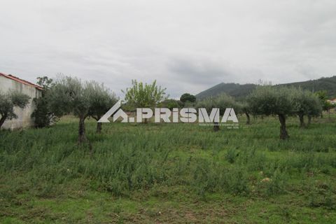Byhus i Idanha-a-Nova, Castelo Branco, Idanha-a-Nova - € 300.000 | Ref: PP4470 - foto 44