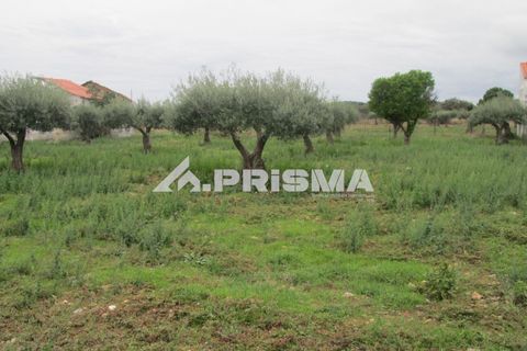 Byhus i Idanha-a-Nova, Castelo Branco, Idanha-a-Nova - € 300.000 | Ref: PP4470 - foto 46