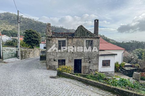 Byhus i Castelo Branco, Castelo Branco, Castelo Branco - € 22.500 | Ref: PP4512 - foto 3