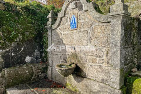 Byhus i Castelo Branco, Castelo Branco, Castelo Branco - € 22.500 | Ref: PP4512 - foto 10