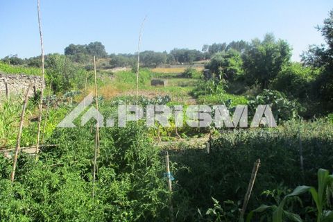 Helårsgrund i Castelo Branco, Castelo Branco, Castelo Branco - € 36.500 | Ref: PP4363 - foto 2