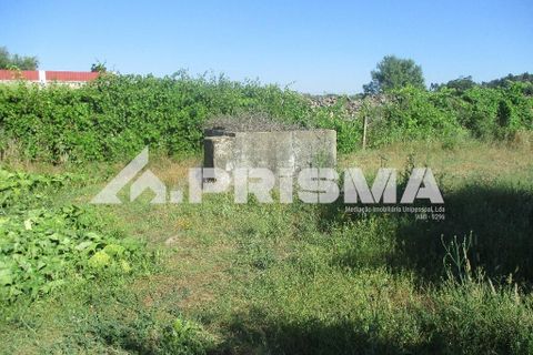 Helårsgrund i Castelo Branco, Castelo Branco, Castelo Branco - € 36.500 | Ref: PP4363 - foto 3