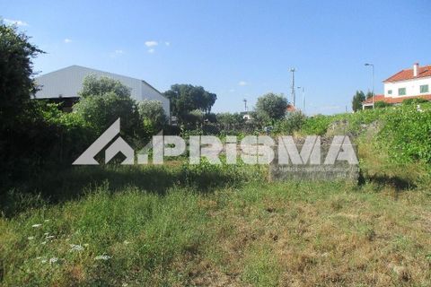 Helårsgrund i Castelo Branco, Castelo Branco, Castelo Branco - € 36.500 | Ref: PP4363 - foto 4