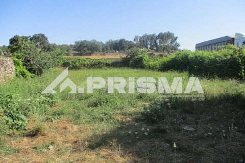 Helårsgrund i Castelo Branco, Castelo Branco, Castelo Branco - € 36.500 | Ref: PP4363 - foto 5