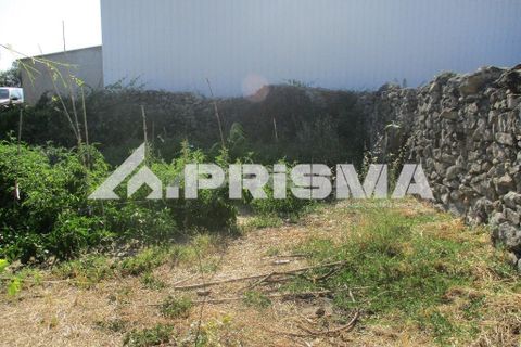 Helårsgrund i Castelo Branco, Castelo Branco, Castelo Branco - € 36.500 | Ref: PP4363 - foto 6