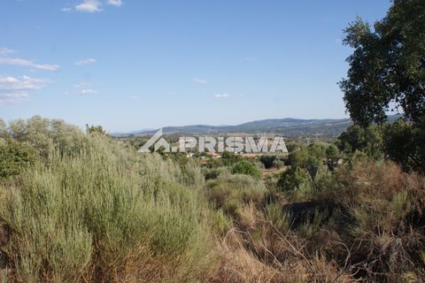 Tomt i Fundao, Castelo Branco, Fundao - € 150 000 | Ref: PP4447 - foto 2