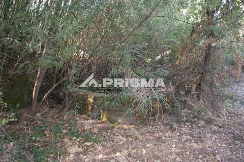 Tomt i Fundao, Castelo Branco, Fundao - € 150 000 | Ref: PP4447 - foto 6
