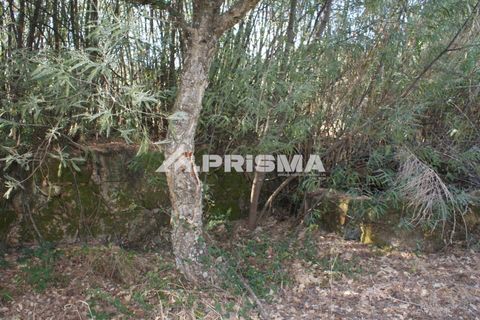 Tomt i Fundao, Castelo Branco, Fundao - € 150 000 | Ref: PP4447 - foto 7