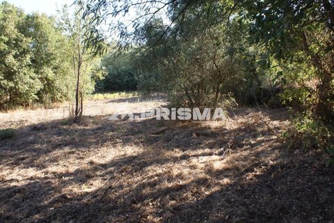 Tomt i Fundao, Castelo Branco, Fundao - € 150 000 | Ref: PP4447 - foto 8