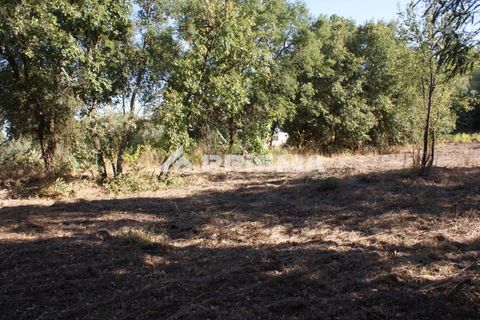 Tomt i Fundao, Castelo Branco, Fundao - € 150 000 | Ref: PP4447 - foto 9