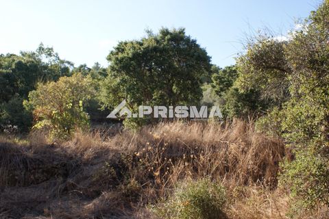 Tomt i Fundao, Castelo Branco, Fundao - € 150 000 | Ref: PP4447 - foto 14