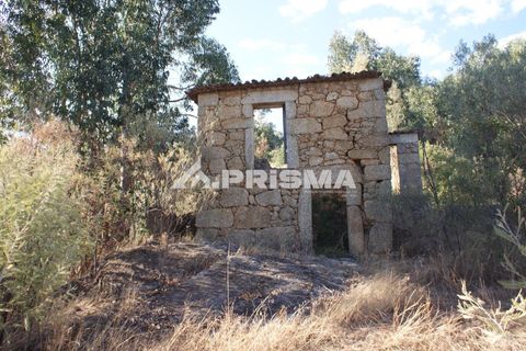 Tomt i Fundao, Castelo Branco, Fundao - € 150 000 | Ref: PP4447 - foto 17
