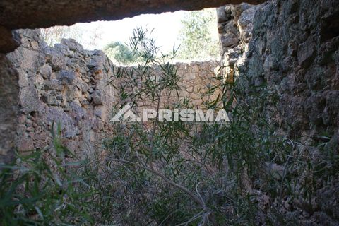 Tomt i Fundao, Castelo Branco, Fundao - € 150 000 | Ref: PP4447 - foto 18