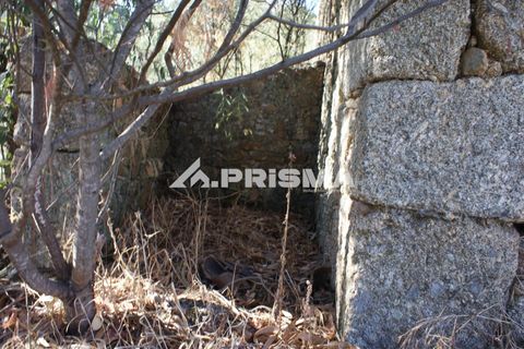 Tomt i Fundao, Castelo Branco, Fundao - € 150 000 | Ref: PP4447 - foto 19