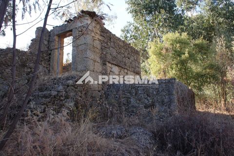 Tomt i Fundao, Castelo Branco, Fundao - € 150 000 | Ref: PP4447 - foto 20