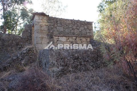 Tomt i Fundao, Castelo Branco, Fundao - € 150 000 | Ref: PP4447 - foto 21