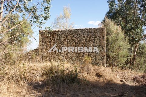 Tomt i Fundao, Castelo Branco, Fundao - € 150 000 | Ref: PP4447 - foto 22