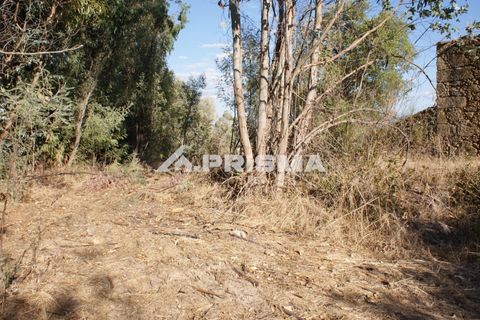 Tomt i Fundao, Castelo Branco, Fundao - € 150 000 | Ref: PP4447 - foto 23