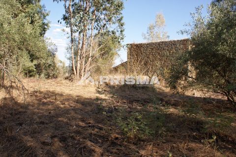 Tomt i Fundao, Castelo Branco, Fundao - € 150 000 | Ref: PP4447 - foto 24