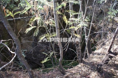 Tomt i Fundao, Castelo Branco, Fundao - € 150 000 | Ref: PP4447 - foto 25