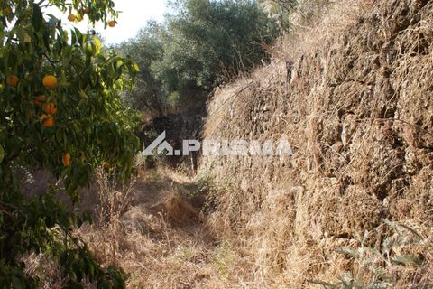 Tomt i Fundao, Castelo Branco, Fundao - € 150 000 | Ref: PP4447 - foto 27