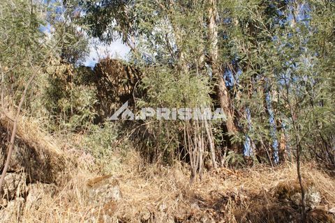 Tomt i Fundao, Castelo Branco, Fundao - € 150 000 | Ref: PP4447 - foto 28