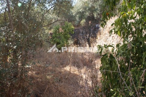 Tomt i Fundao, Castelo Branco, Fundao - € 150 000 | Ref: PP4447 - foto 29