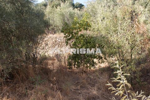 Tomt i Fundao, Castelo Branco, Fundao - € 150 000 | Ref: PP4447 - foto 30
