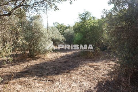 Tomt i Fundao, Castelo Branco, Fundao - € 150 000 | Ref: PP4447 - foto 32