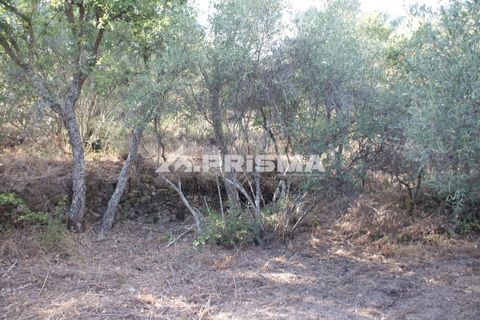 Tomt i Fundao, Castelo Branco, Fundao - € 150 000 | Ref: PP4447 - foto 33