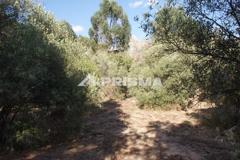 Tomt i Fundao, Castelo Branco, Fundao - € 150 000 | Ref: PP4447 - foto 34