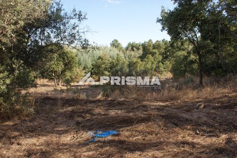 Tomt i Fundao, Castelo Branco, Fundao - € 150 000 | Ref: PP4447 - foto 36