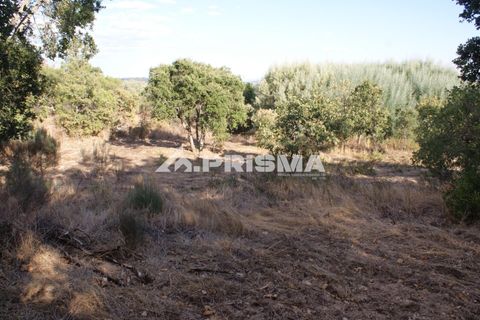 Tomt i Fundao, Castelo Branco, Fundao - € 150 000 | Ref: PP4447 - foto 37