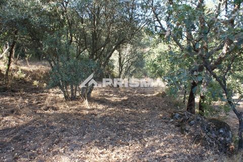 Tomt i Fundao, Castelo Branco, Fundao - € 150 000 | Ref: PP4447 - foto 38