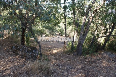 Tomt i Fundao, Castelo Branco, Fundao - € 150 000 | Ref: PP4447 - foto 39