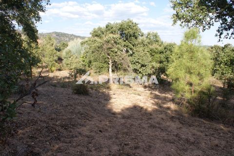 Tomt i Fundao, Castelo Branco, Fundao - € 150 000 | Ref: PP4447 - foto 40