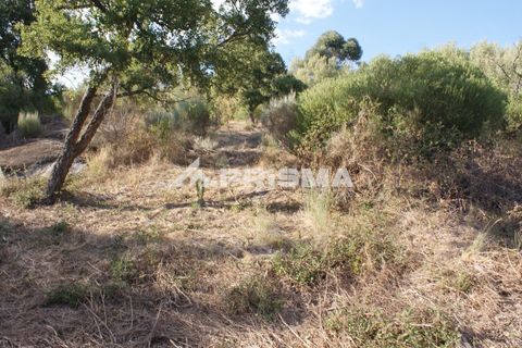 Tomt i Fundao, Castelo Branco, Fundao - € 150 000 | Ref: PP4447 - foto 42