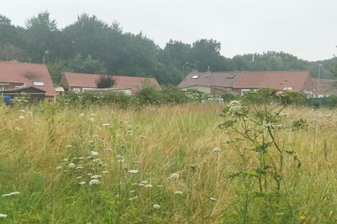 Terra a Roost-Warendin, Nord, Roost-Warendin - € 70.000 | Ref: 23256 - foto 3