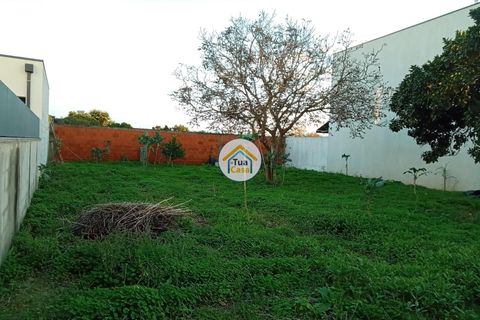 Tomt i Aveiro, Aveiro, Aveiro - € 89 500 | Ref: 2TC2832 - foto 10