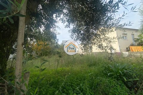 Helårsgrund i Coimbra, Coimbra, Coimbra - € 73.500 | Ref: 4TC2764 - foto 2