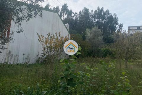 Helårsgrund i Coimbra, Coimbra, Coimbra - € 73.500 | Ref: 4TC2764 - foto 6