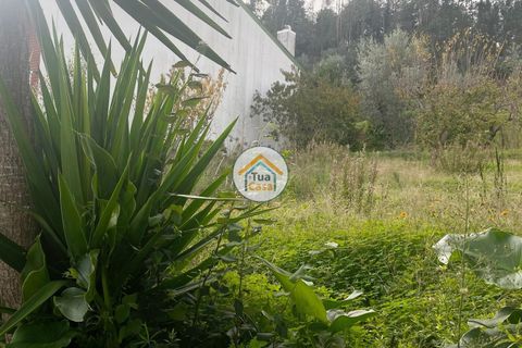 Helårsgrund i Coimbra, Coimbra, Coimbra - € 73.500 | Ref: 4TC2764 - foto 8