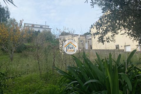 Helårsgrund i Coimbra, Coimbra, Coimbra - € 73.500 | Ref: 4TC2764 - foto 10
