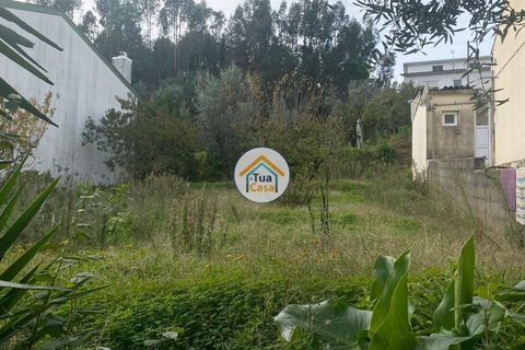 Helårsgrund i Coimbra, Coimbra, Coimbra - € 73.500 | Ref: 4TC2764 - foto 11