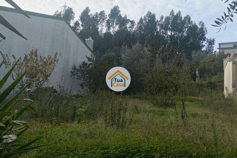 Helårsgrund i Coimbra, Coimbra, Coimbra - € 73.500 | Ref: 4TC2764 - foto 12
