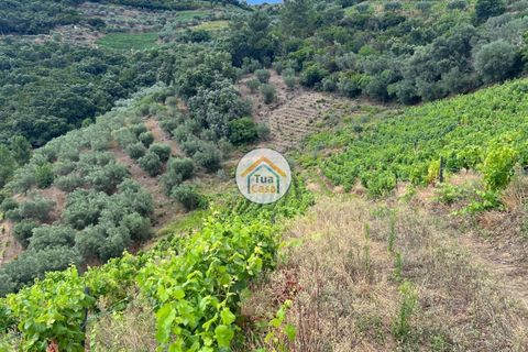 Helårsgrund i Vila Real, Vila Real, Vila Real - € 50.000 | Ref: 10TC3563 - foto 5