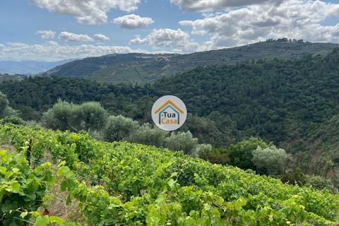 Helårsgrund i Vila Real, Vila Real, Vila Real - € 50.000 | Ref: 10TC3563 - foto 6