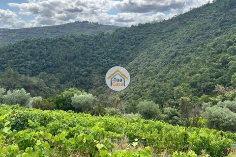 Helårsgrund i Vila Real, Vila Real, Vila Real - € 50.000 | Ref: 10TC3563 - foto 7